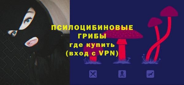 дмт Армянск