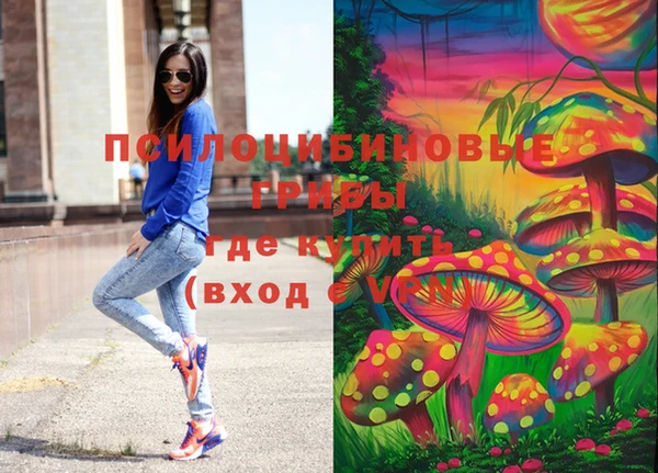 дмт Аркадак