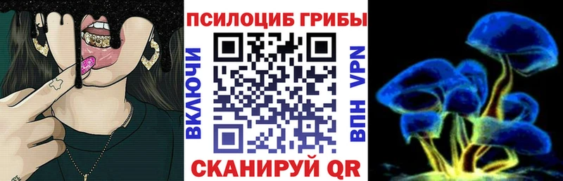 hydra зеркало  Великий Устюг  Галлюциногенные грибы прущие грибы 