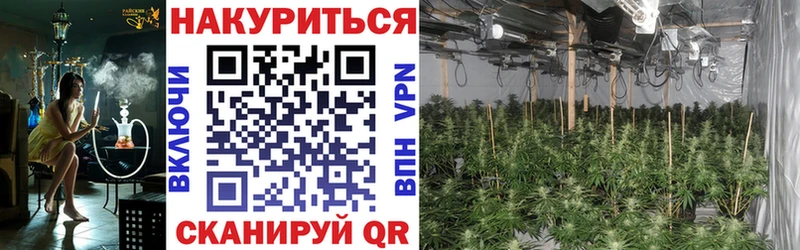 Канабис MAZAR  Великий Устюг 